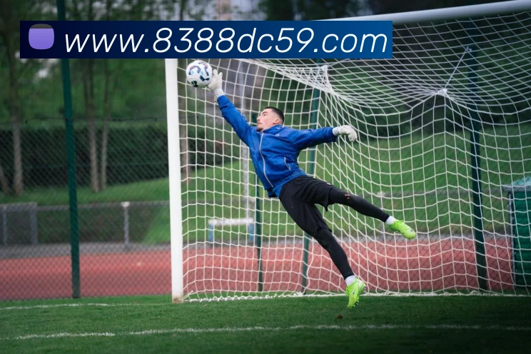 皇家赌场hjdc平台生态图